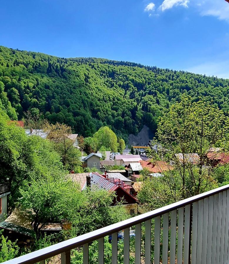 Sara Apart Belleview Sinaia Buitenkant foto